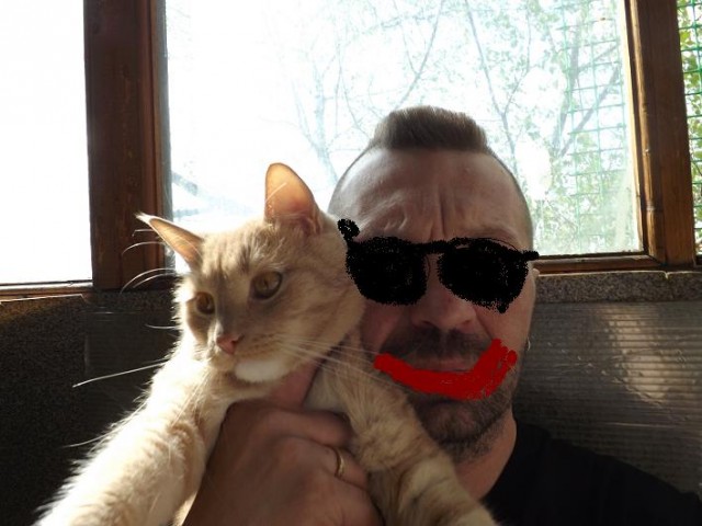 Котовторнику быть!