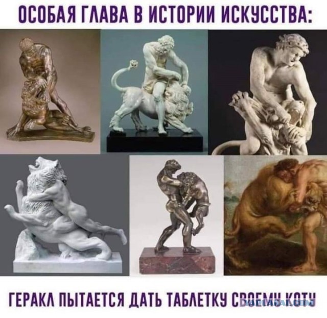 Обидели котеньку...