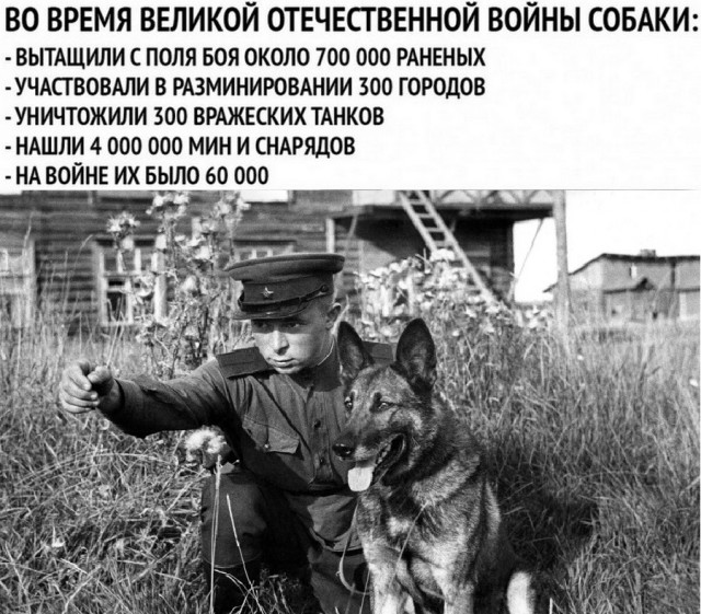 Картинки и мемы для настроения 26.08.2021