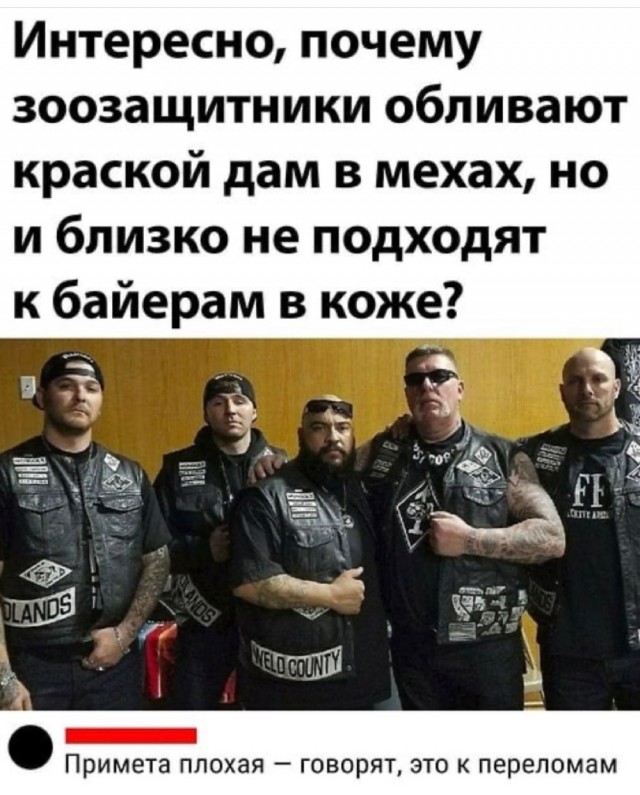 Картинки и мемы, всем прекрасных выходных