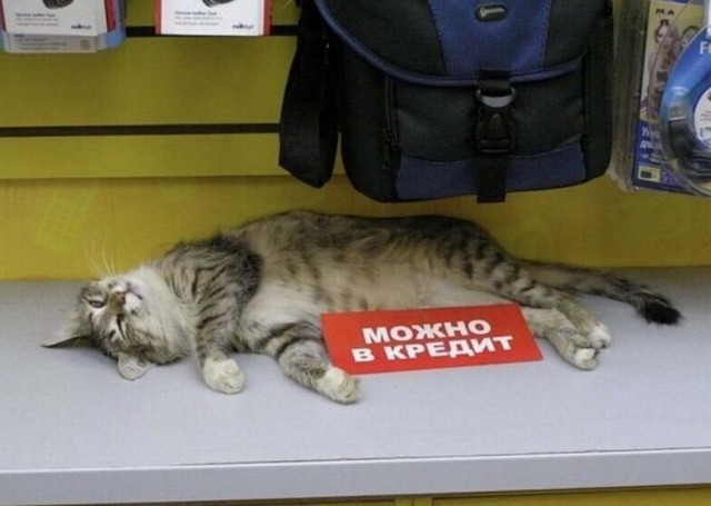 Картинки и мемы, всем прекрасных выходных