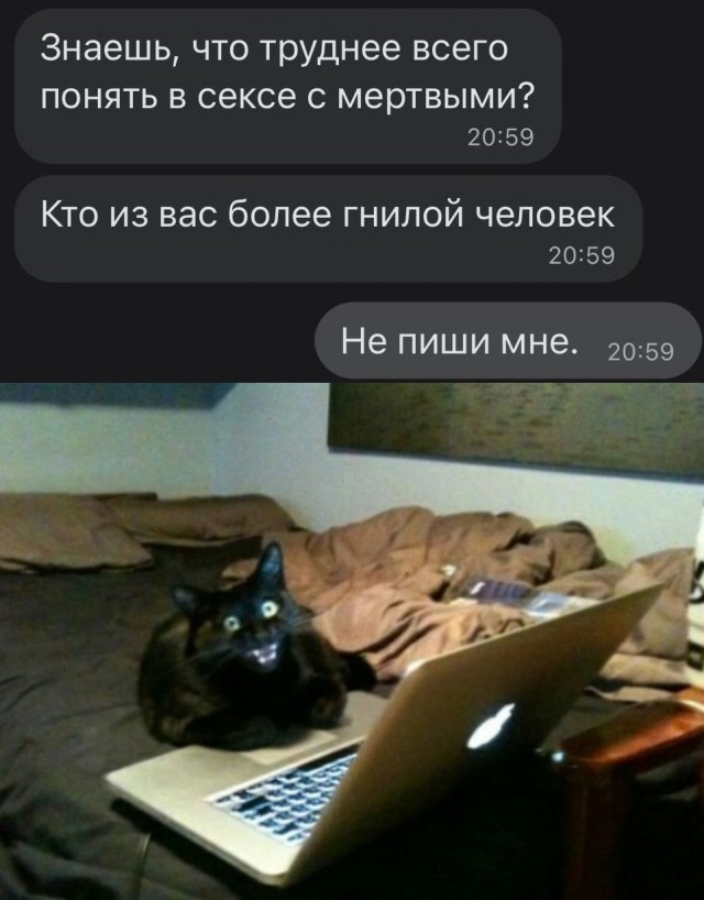 Картинки и мемы для настроения 03.11.2021