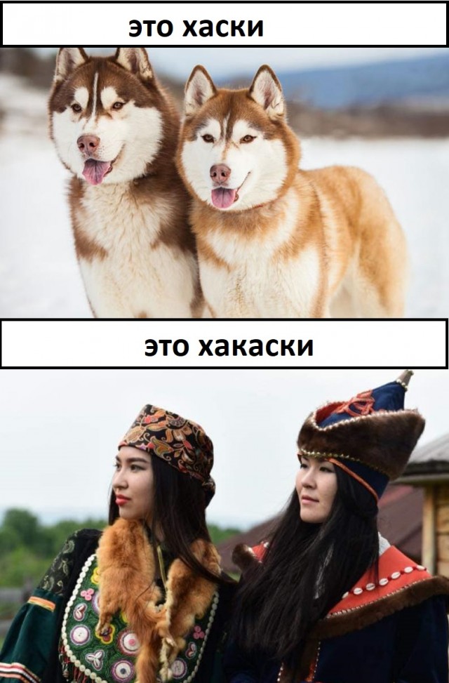 Пятница. И немного слегка пошлых картинок с надписями и без 16+ (12.11)