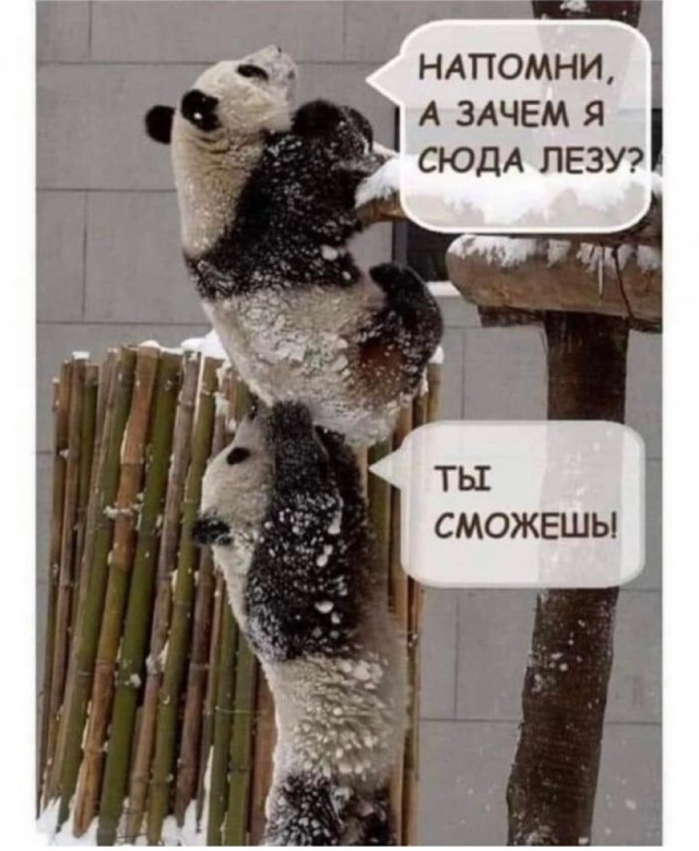 Что ищем, молодые люди?