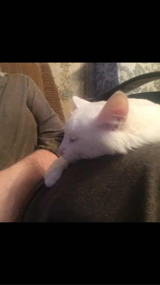 Вторник. Котэ. Пора