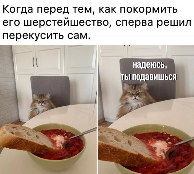 Так себе картинки 16.12.2021