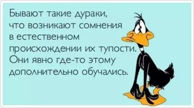 В Челябинске бродячая собака вцепилась в лицо ребенку