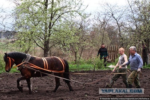 Другая Беларусь