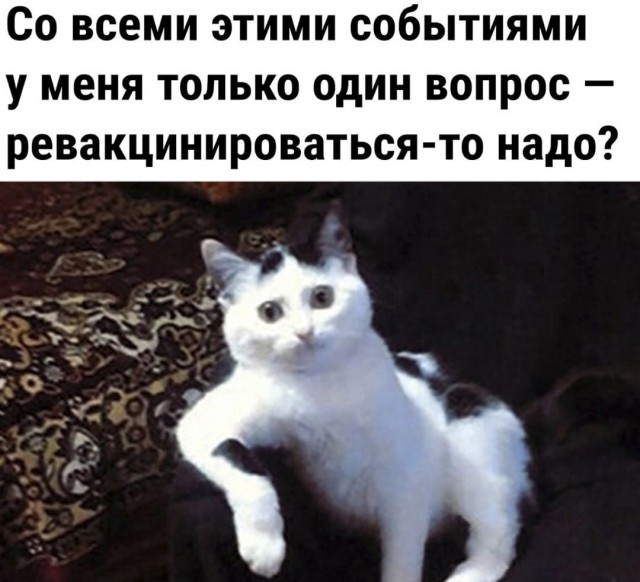 Так себе картинки 20.03.22