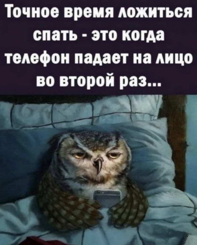 Картинки и мемы для настроения - 21