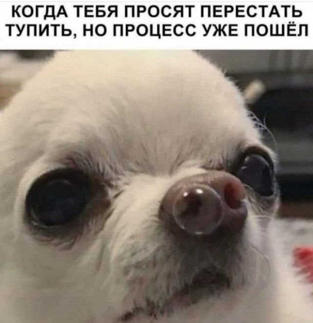 Картинки и мемы, всем хороших выходных