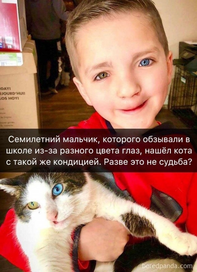 Так себе картинки 30.05.22