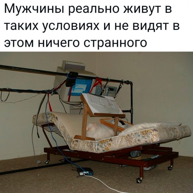 Картинки и мемы для настроения - 19