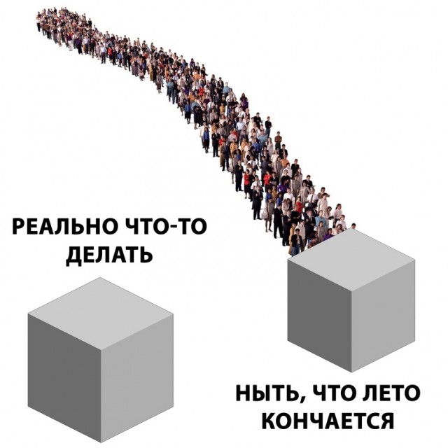 Весёлый полтишок 28.07.22