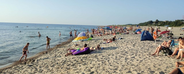 Российские туристы рассказывают ужасы об отдыхе в Сочи, но продолжают сюда ехать