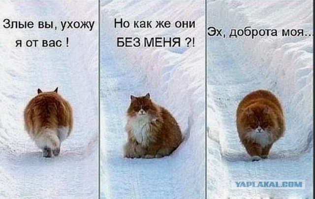 Короче, поступила как мужик