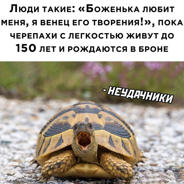 Картинок разной степени @анутости псто.