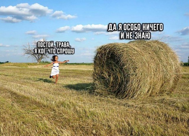 Нуштош 14.04.2023