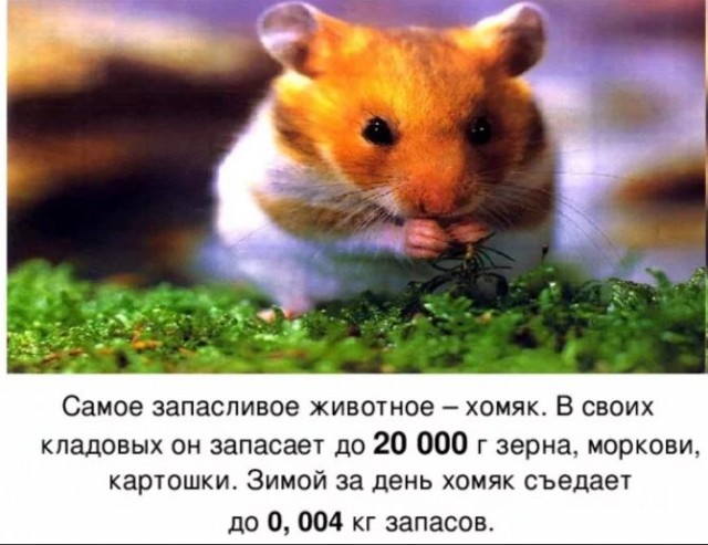 Год назад. Доклад ООН про изменение климата: худшее впереди