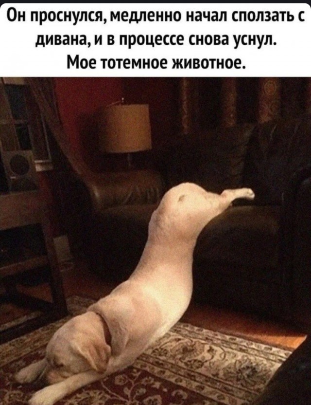 Весёлый полтишок 27.07.23