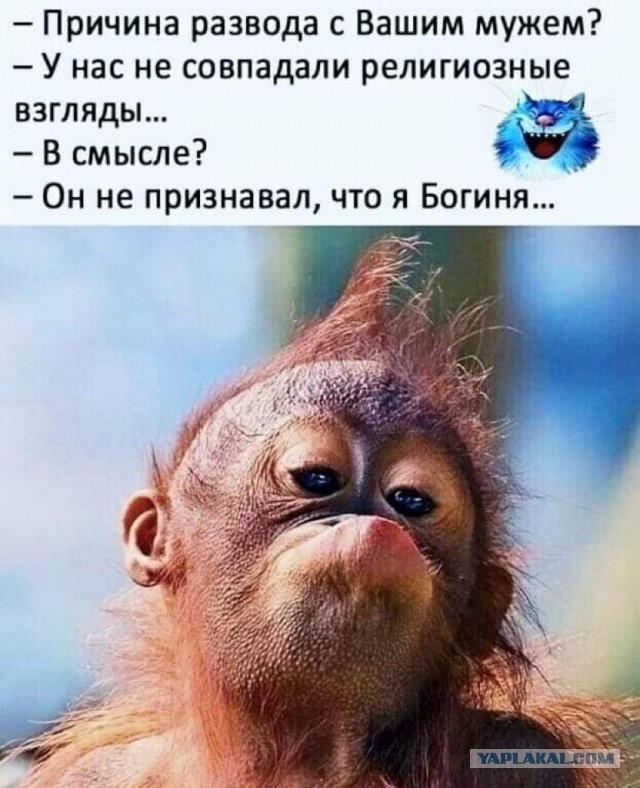 Три варианта: Как возрастные невесты отпугивают мужчин