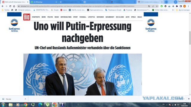 ООН готова пойти на все условия российской стороны для возобновления зерновой сделки, сообщила газета Bild