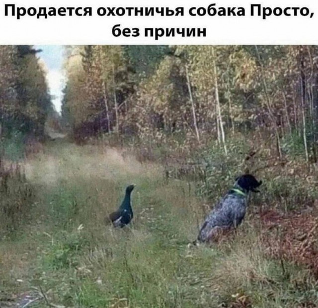 Всего понемногу. От 19.10.23