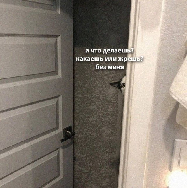 Весёлый полтишок 18.01.24