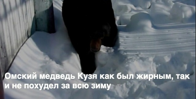 Патентую