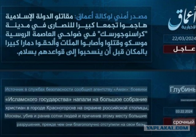 Кадры задержания и допроса одного из задержанных в Брянской области, совершившего теракт в «Крокус-Холле»