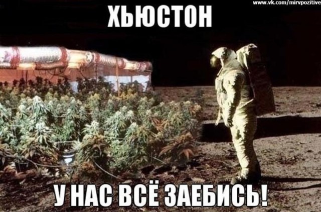 Прикольные и просто красивые картинки 12.04.2024
