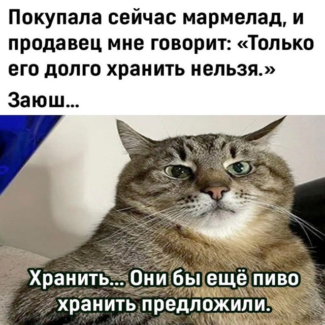 Весёлый полтишок 26.07.24