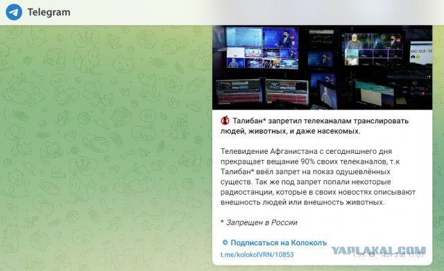 Талибан* официально запретил женщинам разговаривать друг с другом.