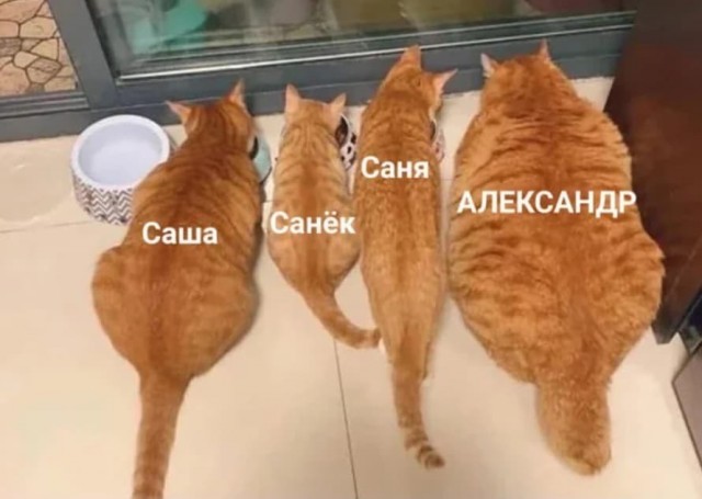 Веселые картинки в пятницу (10.01)