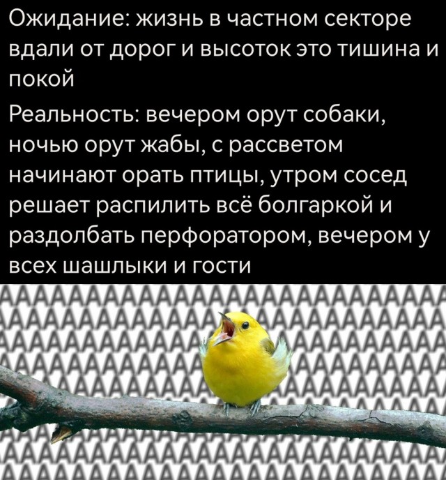 Так себе картинки 03.05.25