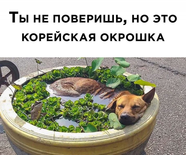 Маленькая пятница 6.08.25