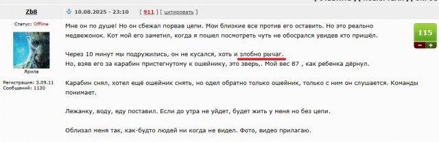 Пришел пëс