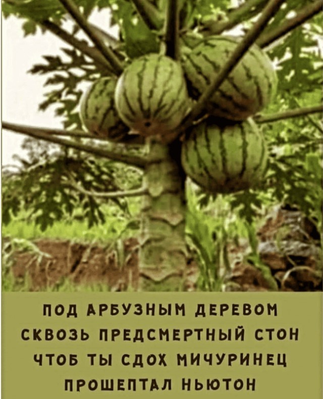 Альтернативная история закона тяготения