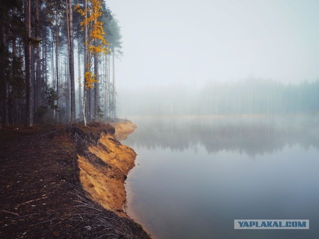 Осень в объективе.