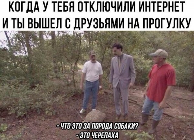 Картинки для деградации 75 (разной степени свежести)