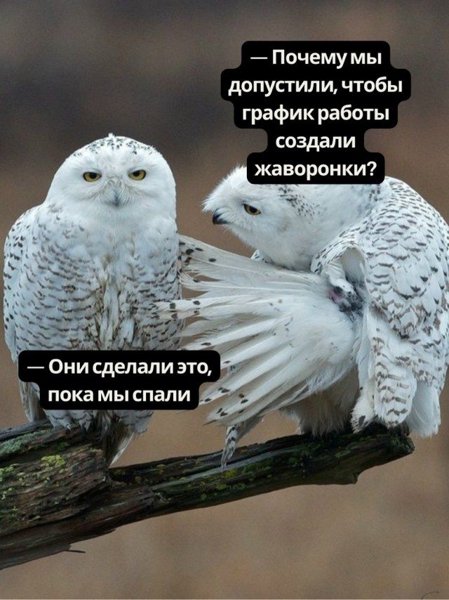 Пятница пришла