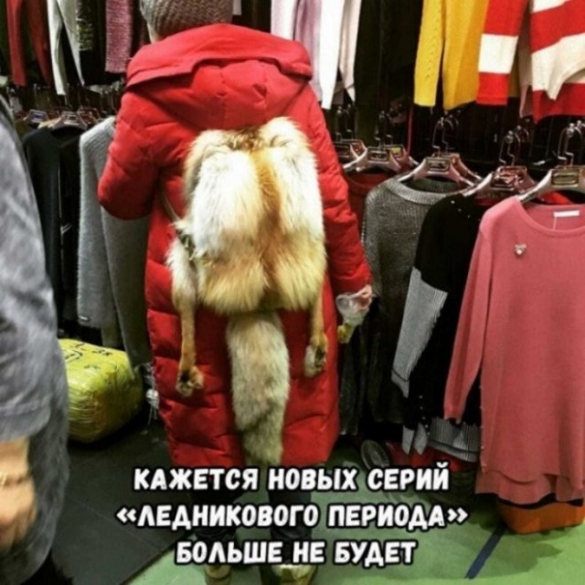 Веселые картинки в маленькую пятницу (19.11)