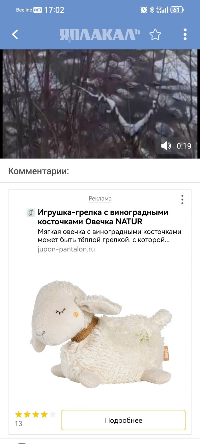В Башкирии пастух решил перегнать 300 овец по льду, но он не выдержал: сотни животных ушли под воду