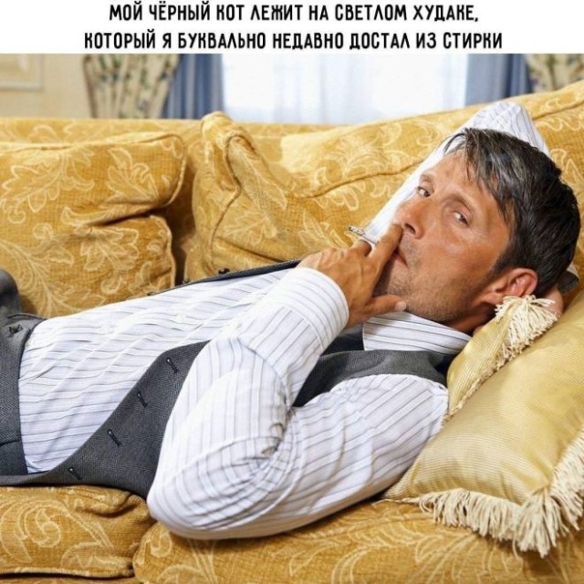 Картиночки, баянчики 10 февраля