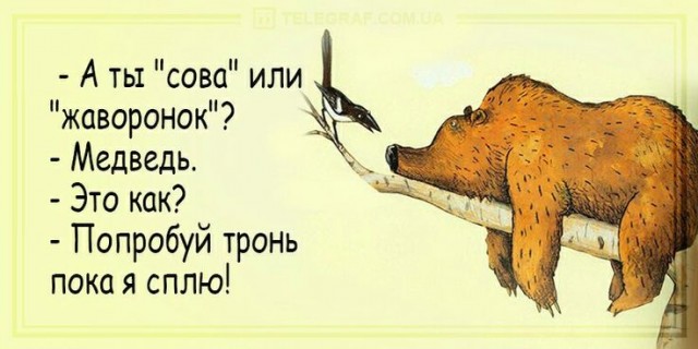 А вы сова или жаворонок?⁠⁠