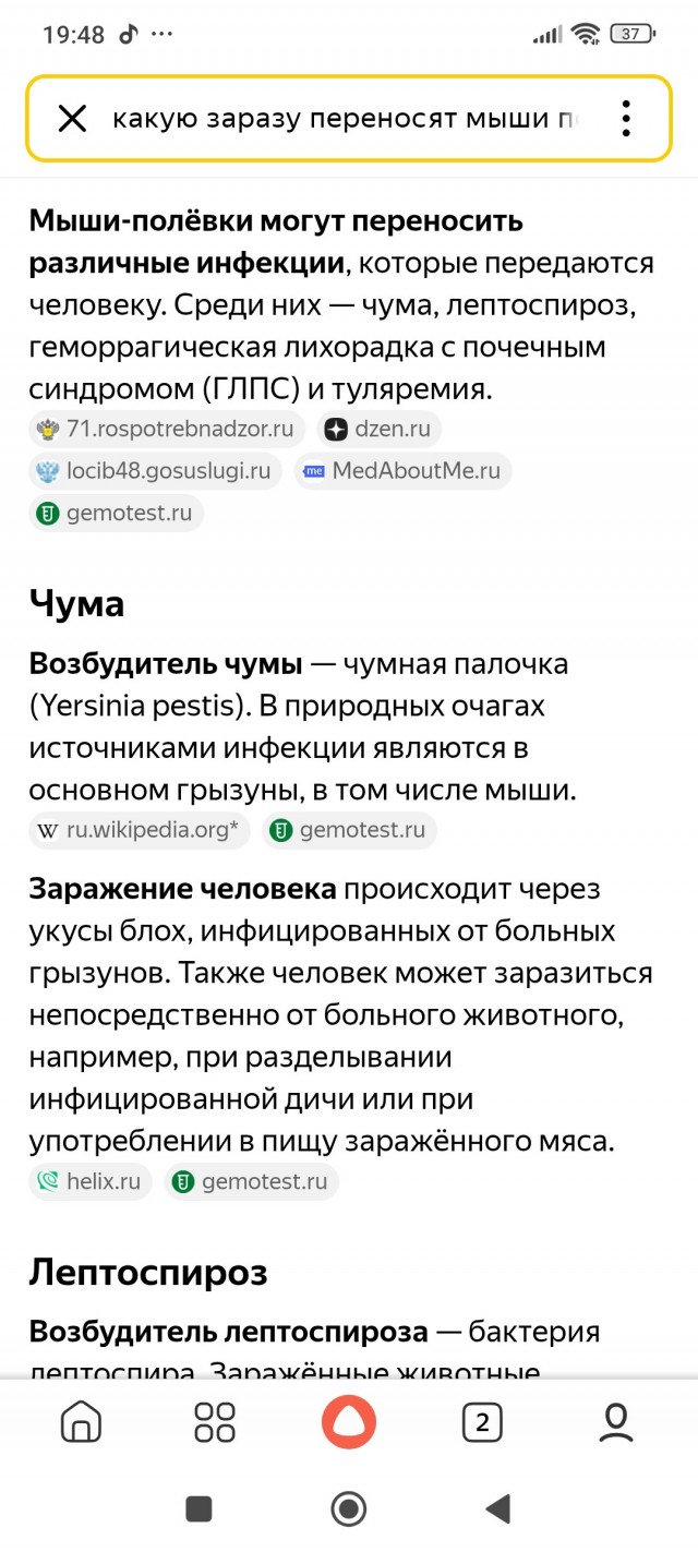 Мышь-полёвка: Не имеет никакого отношения к мышам. Кто же это тогда? Секреты нашего родного грызуна