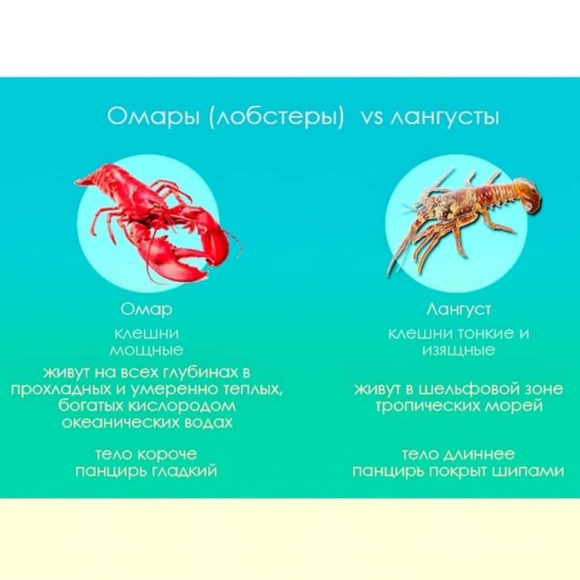 Почему на Кубе почти нет рыбы, хотя вокруг океан 