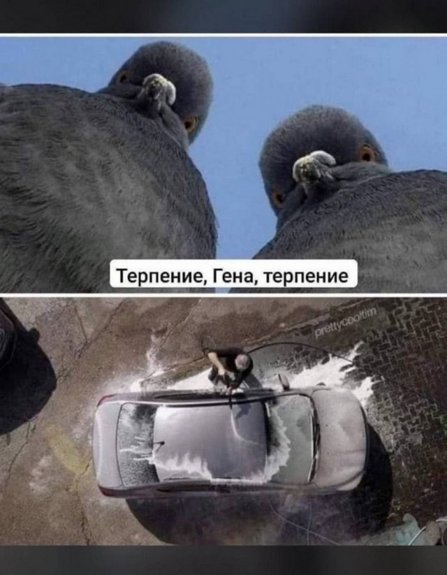 Веселые картинки в пятницу (17.04)