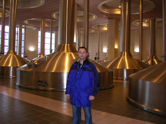 Немного природы Бельгии.