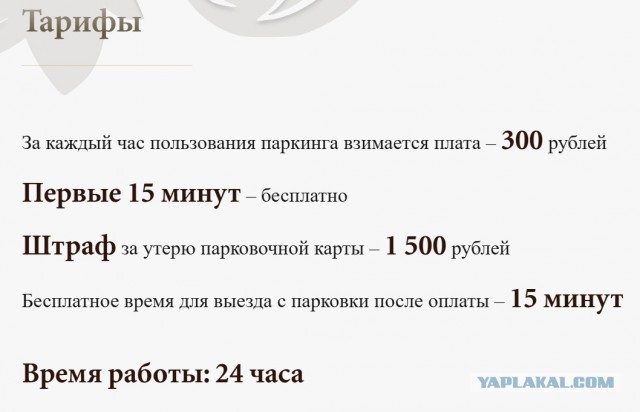 Девушка показала счет за парковку размером в 1 млн 115 тысяч рублей